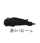 BUZZくんの日常（個別スタンプ：5）