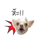 Dog Chopper 2（個別スタンプ：4）