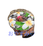 いとう先輩スタンプ（個別スタンプ：2）
