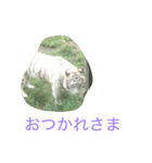 健太スタンプ3（個別スタンプ：6）
