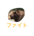 健太スタンプ3（個別スタンプ：7）