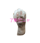 ミンクさんです（個別スタンプ：4）