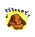 とらちゃんやで★～日常編～その1（個別スタンプ：1）
