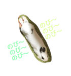 うさぎのふぇい（個別スタンプ：1）