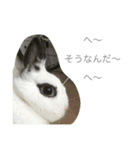 うさぎのふぇい（個別スタンプ：9）