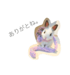 うさぎのふぇい（個別スタンプ：24）