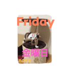 三毛猫nana03 1週間（個別スタンプ：5）