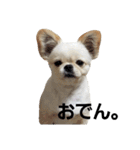 ペキチワおでん（個別スタンプ：1）