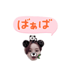 heyjijibaba（個別スタンプ：1）