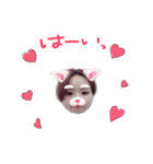 kikikihon（個別スタンプ：1）