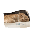 Uchi no stamp（個別スタンプ：10）