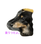 林檎ちゃんち（個別スタンプ：6）