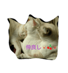 マシュマロ日和（個別スタンプ：5）
