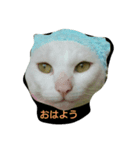 マシュマロ日和（個別スタンプ：7）