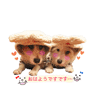 我が家の着ぐるみ族（個別スタンプ：1）