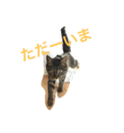あられっぴ（個別スタンプ：2）