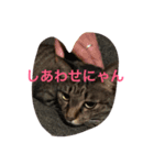 あられっぴ（個別スタンプ：3）