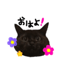 おにぎりとごま。（個別スタンプ：1）
