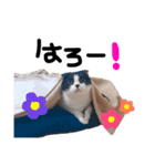 おにぎりとごま。（個別スタンプ：2）