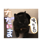 おにぎりとごま。（個別スタンプ：3）