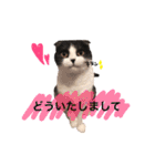 おにぎりとごま。（個別スタンプ：6）