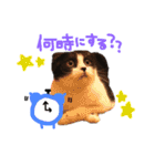 おにぎりとごま。（個別スタンプ：24）
