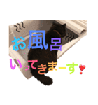 おにぎりとごま。（個別スタンプ：26）