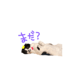 おにぎりとごま。（個別スタンプ：30）