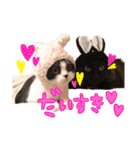 おにぎりとごま。（個別スタンプ：33）