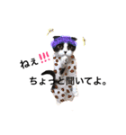 おにぎりとごま。（個別スタンプ：37）