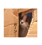 おにぎりとごま。（個別スタンプ：38）