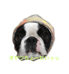 バジル＆チロル（個別スタンプ：8）