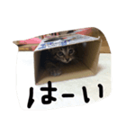 あいらぶしんちゃん2（個別スタンプ：7）