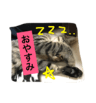 あいらぶしんちゃん3（個別スタンプ：4）