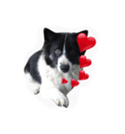 dog my friend（個別スタンプ：2）