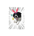 dog my friend（個別スタンプ：4）