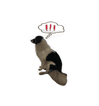 dog my friend（個別スタンプ：13）