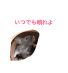 我が家のパンダマウス ④（個別スタンプ：6）