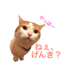 ヒッピー ＆ キャリー（個別スタンプ：1）