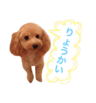 ヒッピー ＆ キャリー（個別スタンプ：2）
