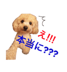 ヒッピー ＆ キャリー（個別スタンプ：6）