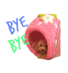 ヒッピー ＆ キャリー（個別スタンプ：10）