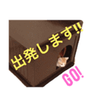 ヒッピー ＆ キャリー（個別スタンプ：14）