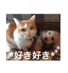 ヒッピー ＆ キャリー（個別スタンプ：16）