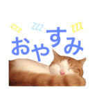 ヒッピー ＆ キャリー（個別スタンプ：17）