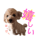 ヒッピー ＆ キャリー（個別スタンプ：22）