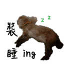 wumi（個別スタンプ：2）