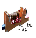 wumi（個別スタンプ：5）