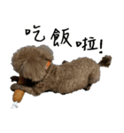 wumi（個別スタンプ：6）