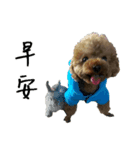 wumi（個別スタンプ：7）